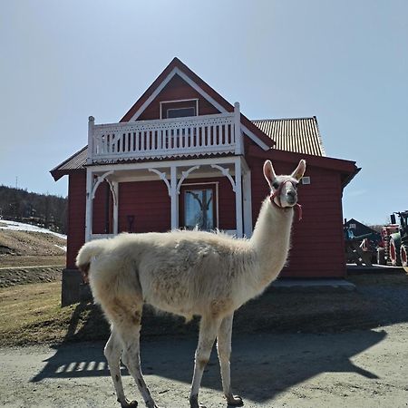 Sommerstue Hessdalen Alen Exterior foto